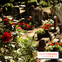 Le cimetière canin à Asnières-sur-Seine