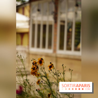 l'Île des Impressionnistes à Chatou