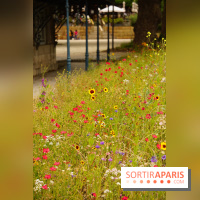 l'Île des Impressionnistes à Chatou