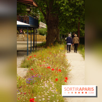 l'Île des Impressionnistes à Chatou