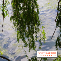 l'Île des Impressionnistes à Chatou