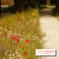 l'Île des Impressionnistes à Chatou