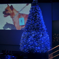 Le mardi 24 novembre, l'Atelier Renault organisait une soirée privée à l'occasion de la présentation de sa nouvelle Gordini. André en était l'invité d'honneur.