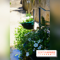 La promenade des petits ponts dans la vallée de Chevreuse