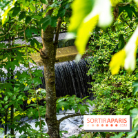 La promenade des petits ponts dans la vallée de Chevreuse -  A7C3856