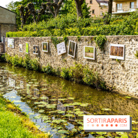 La promenade des petits ponts dans la vallée de Chevreuse -  A7C3867