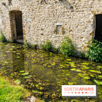 La promenade des petits ponts dans la vallée de Chevreuse -  A7C3872