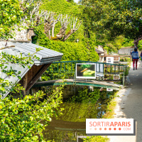 La promenade des petits ponts dans la vallée de Chevreuse -  A7C3889