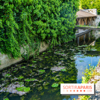 La promenade des petits ponts dans la vallée de Chevreuse -  A7C3896