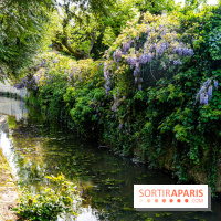 La promenade des petits ponts dans la vallée de Chevreuse -  A7C3898