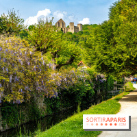 La promenade des petits ponts dans la vallée de Chevreuse -  A7C3909