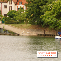 L’île Fanac à Joinville-le-Pont, un lieu incontournable à découvrir dans le Val de Marne
