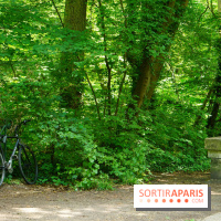 Une balade à vélo depuis Paris pour se rendre aux Cueillettes de Conflans