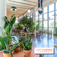 Titi Palacio, bar-restaurant festif à la Félicité 