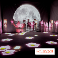 Exposition immersive autour de la Fête des lanternes, nos photos