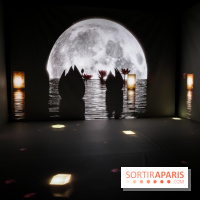 Exposition immersive autour de la Fête des lanternes, nos photos