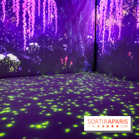 Exposition immersive autour de la Fête des lanternes, nos photos