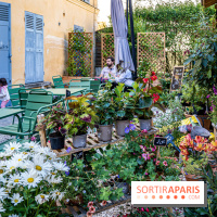 La Pâtisserie Gato à Versailles