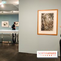 L'expérience du paysage, l'exposition photo de la Fondation Henri Cartier-Bresson, nos photos