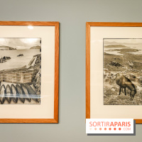 L'expérience du paysage, l'exposition photo de la Fondation Henri Cartier-Bresson, nos photos