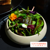 L'Hôtel Paris J'adore, le repaire des amoureux à Paris