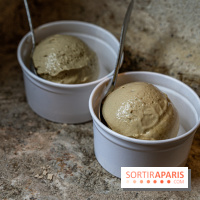 Les glaces de Jacques Génin à Paris