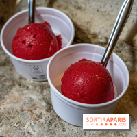 Les glaces de Jacques Génin à Paris