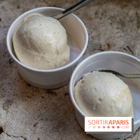 Les glaces de Jacques Génin à Paris