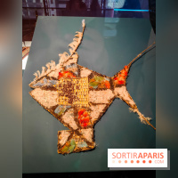 Micro mondes, une exposition à découvrir à la loupe au musée du Quai Branly, nos photos