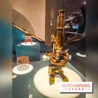 Micro mondes, une exposition à découvrir à la loupe au musée du Quai Branly, nos photos