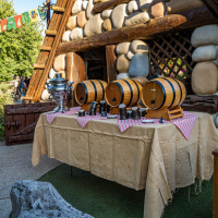 Le Banquet Gaulois au Parc Asterix 
