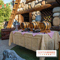 Parc Asterix 2022, les nouveautés en photos 