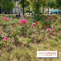 Balade sur la Petite Ceinture du 17e : la promenade Pereire