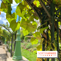 Balade sur la Petite Ceinture du 17e : la promenade Pereire
