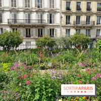 Balade sur la Petite Ceinture du 17e : la promenade Pereire