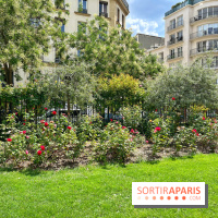 Balade sur la Petite Ceinture du 17e : la promenade Pereire