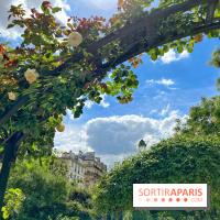 Balade sur la Petite Ceinture du 17e : la promenade Pereire