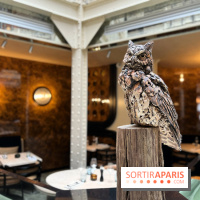 Grand Duc - Eté 2022