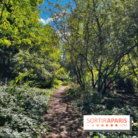 Balade sur la Petite Ceinture du 14 au 16e arrondissement : un sentier nature dépaysant