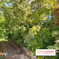 Balade sur la Petite Ceinture du 14 au 16e arrondissement : un sentier nature dépaysant