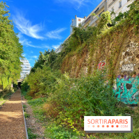 Balade sur la Petite Ceinture du 14 au 16e arrondissement : un sentier nature dépaysant