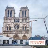 Visuels Paris - Notre-Dame de Paris