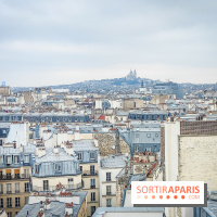 Visuels Paris - vue aérienne toits