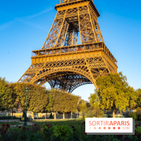 Visuels Paris - Tour Eiffel 