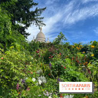 Visuels Paris - montmartre sacré cœur