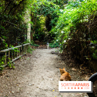 Les villages cachés du 13e arrondissement à Paris