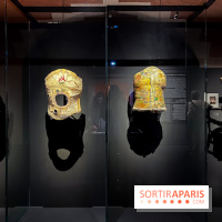 Exposition Frida Kahlo