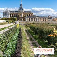Le Potager du Roi de Versailles, Journées du Patrimoine 