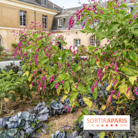 Le Potager du Roi de Versailles, Journées du Patrimoine 