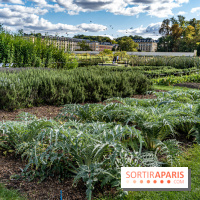 Le Potager du Roi de Versailles, Journées du Patrimoine 